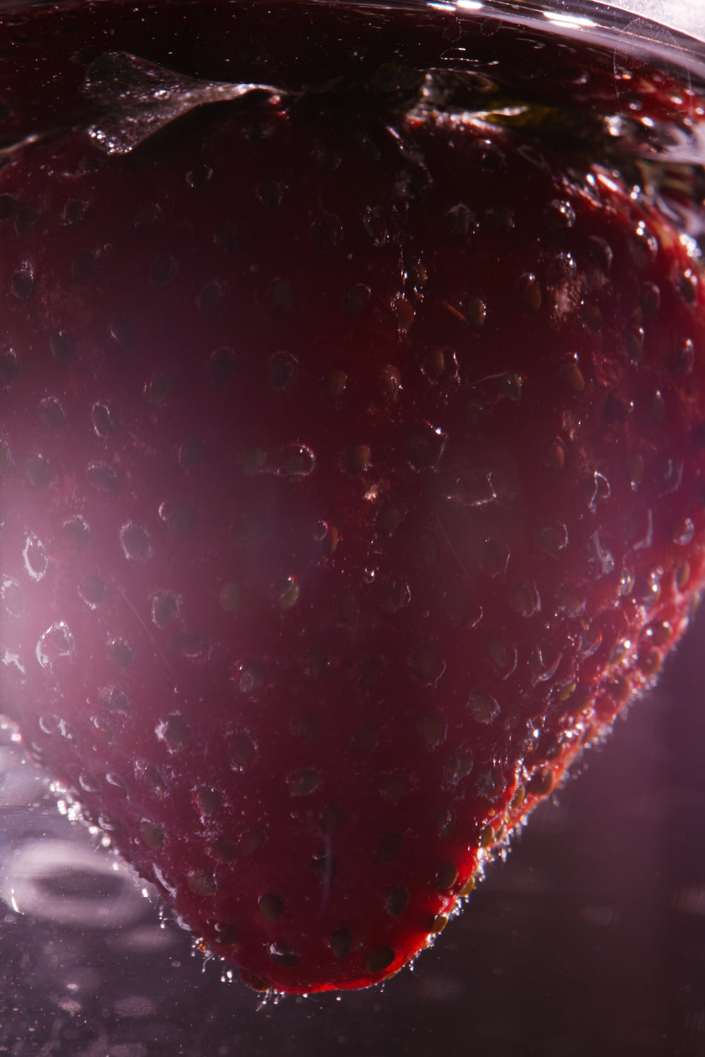 A UNIQUE OLFACTORY STRUCTURE