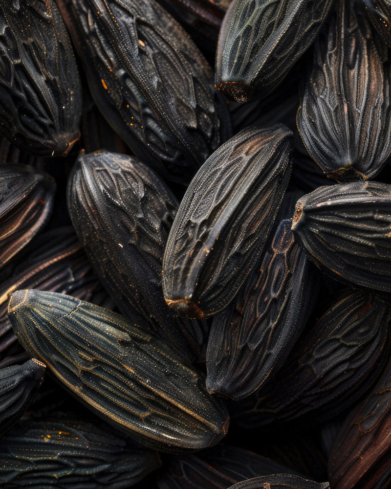 Tonka Bean