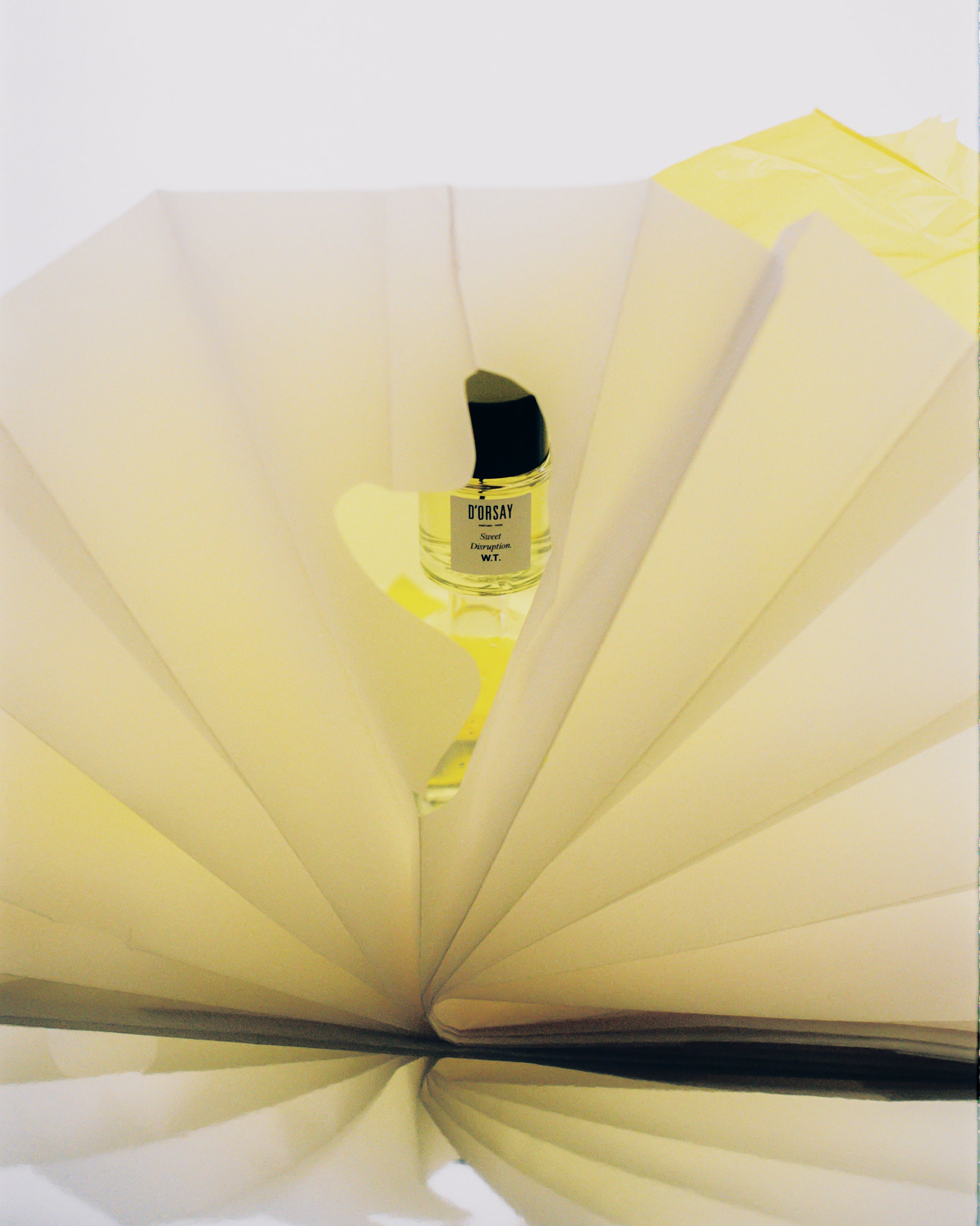 Sweet Disruption. W.T. – Maison D'ORSAY