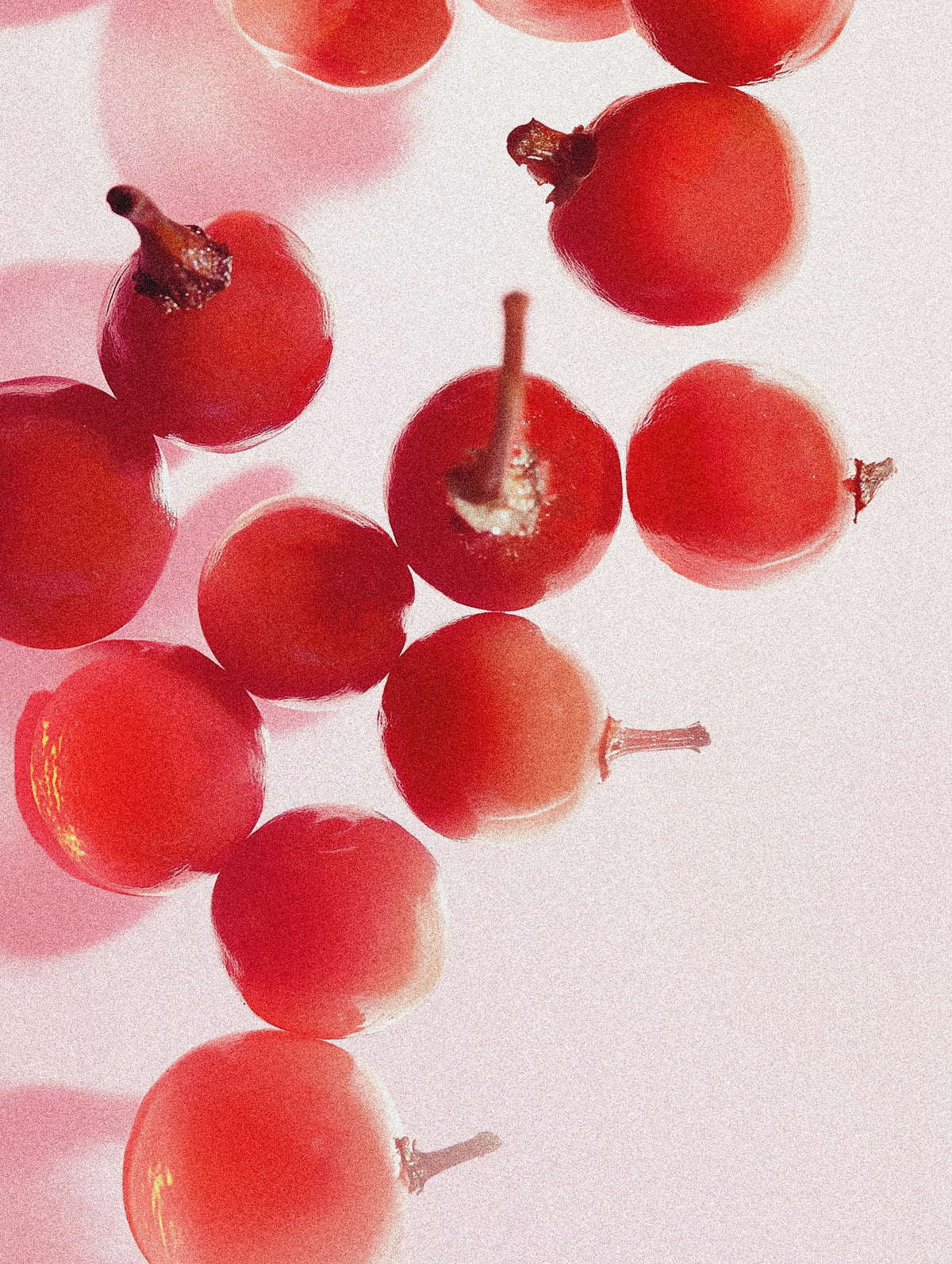 Pink Peppercorn