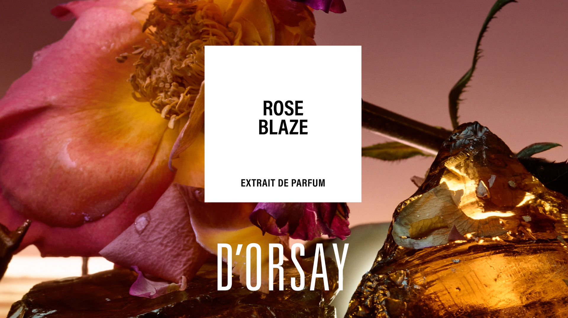 Jordi Fernandez presents the “Rose Blaze” Perfume Extract – Maison Jordi Fernandez presents the “Rose Blaze” Perfume Extract – Maison