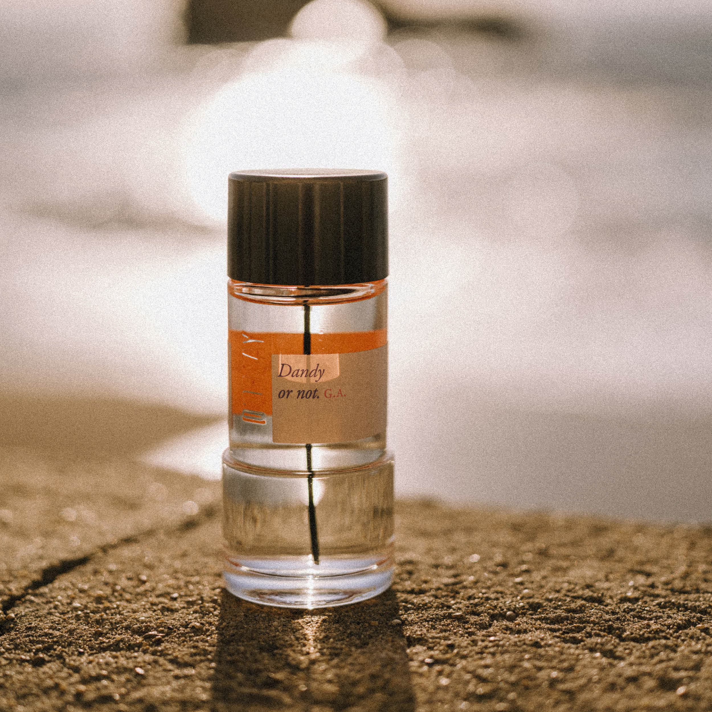Dandy or not. G.A. – Maison D'ORSAY