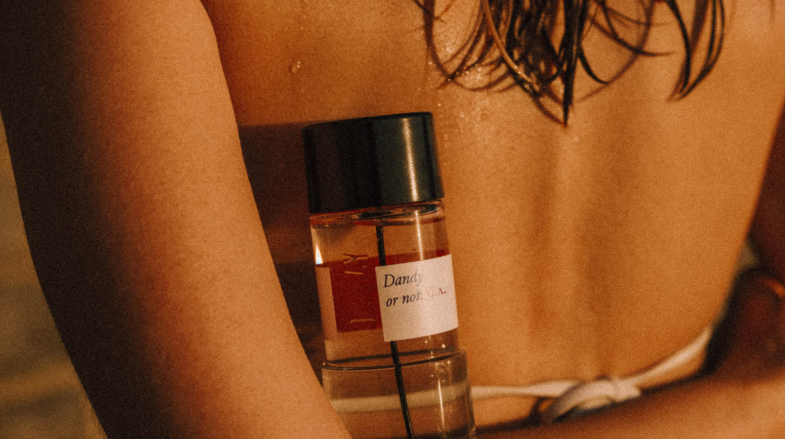 Dandy or not. G.A. – Maison D'ORSAY