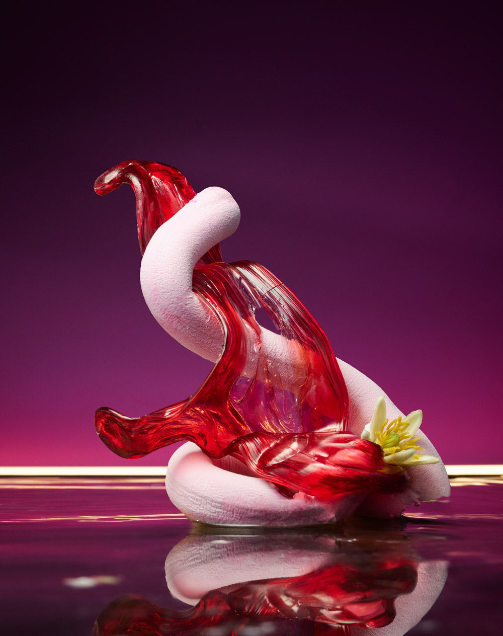 CANDY RUSH: NEW PERFUME EXTRACT EXCLUSIVELY – Maison D'ORSAY