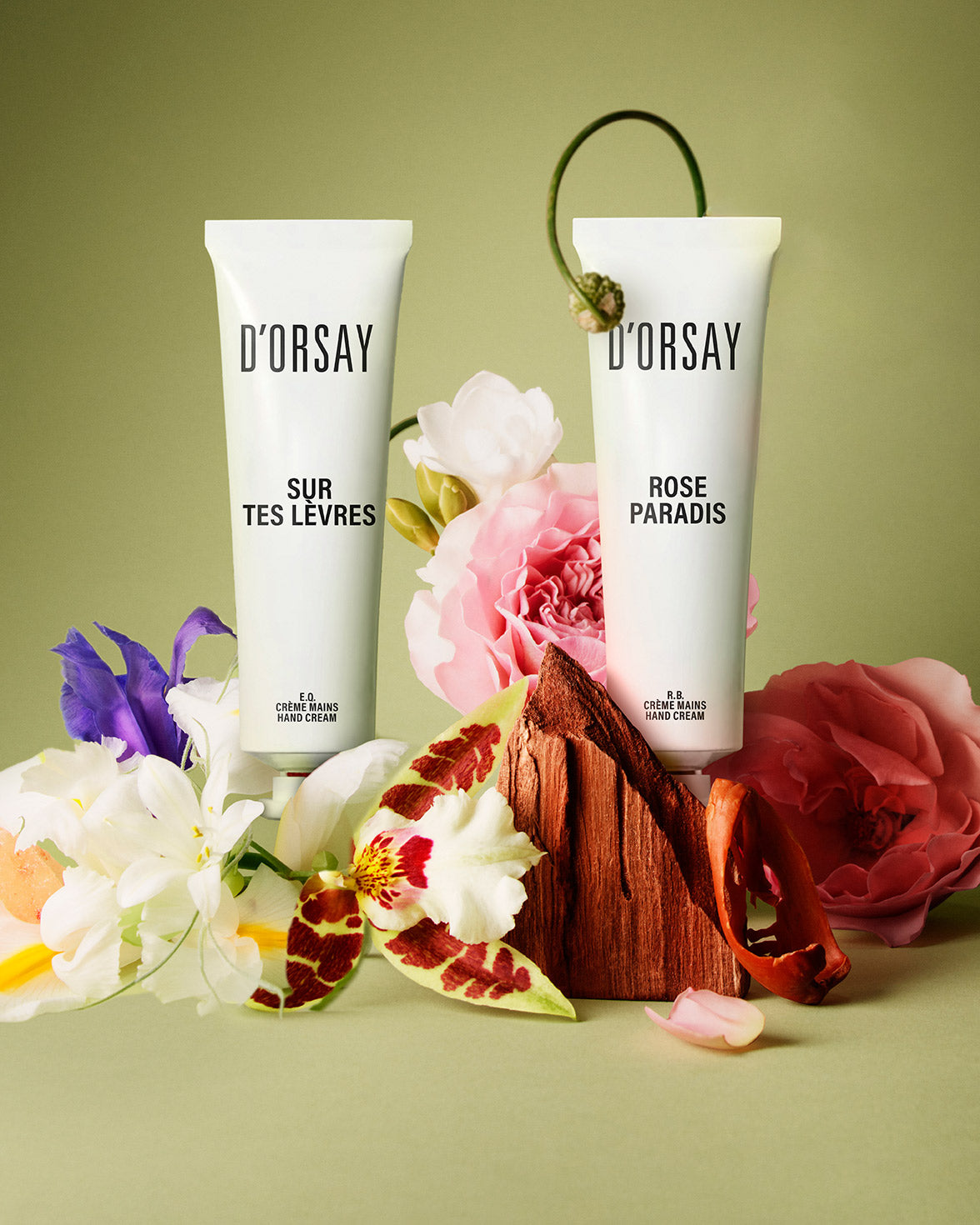Care – Maison D'ORSAY