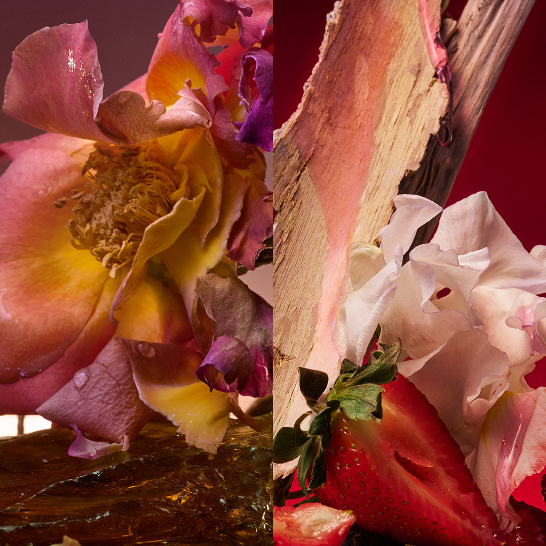 D'ORSAY ROSE BLAZE エクストラクト・ド・パルファム 90ML Jordi