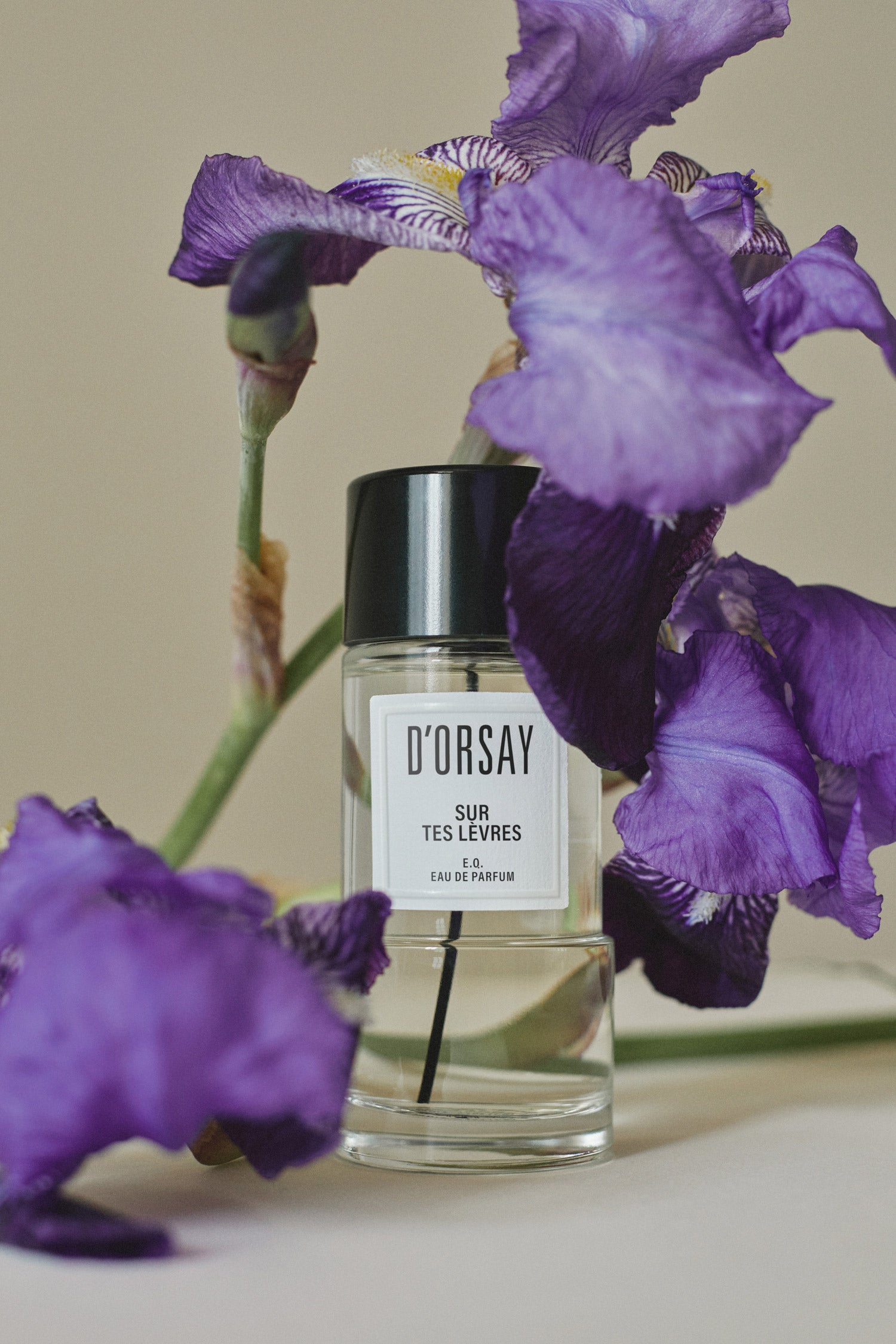 E.Q. Sur tes lèvres – Maison D'ORSAY