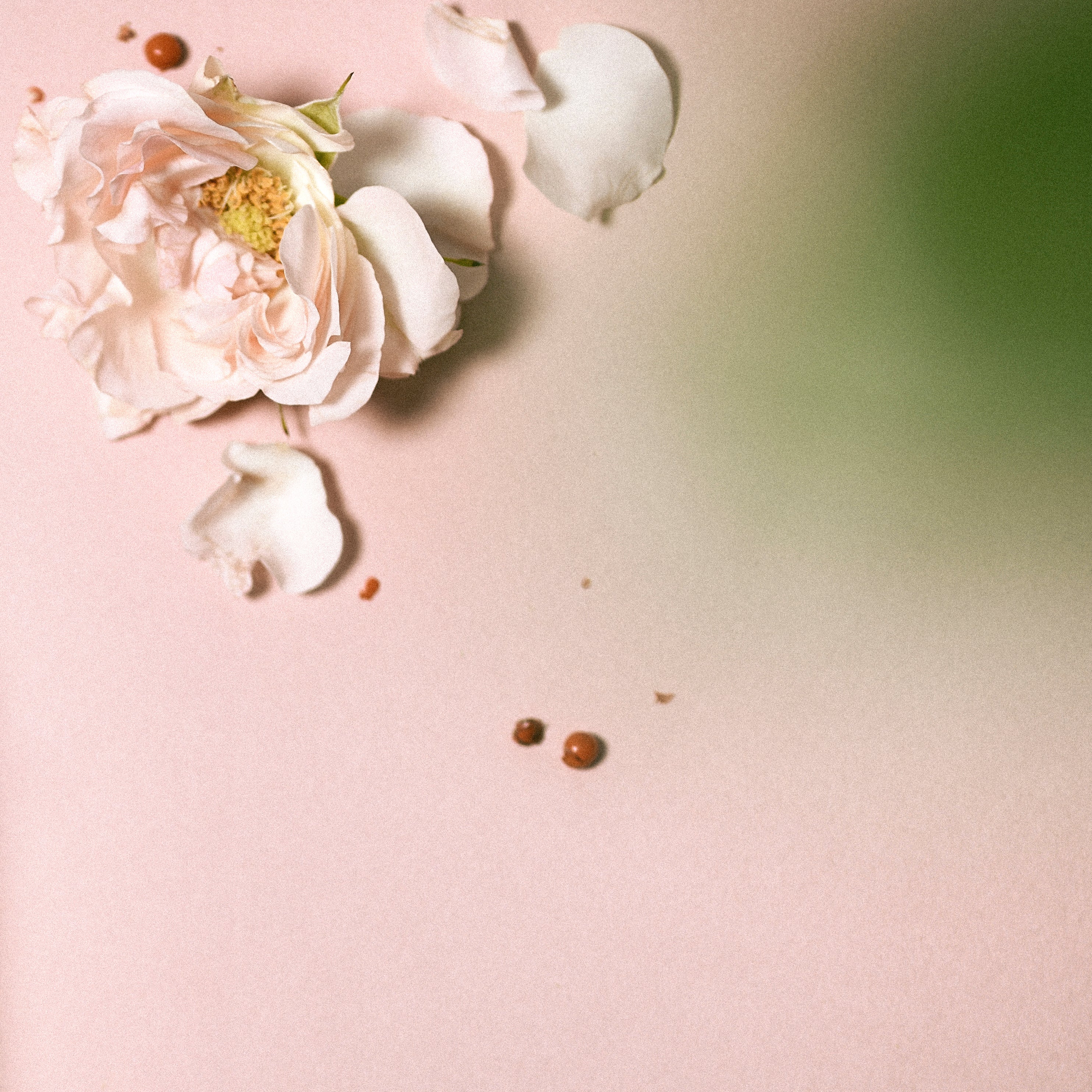 Eau de Parfum Jusqu'à toi. P.S. | Unisex Woody Fragrance