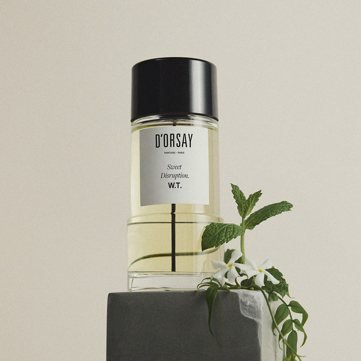 D'ORSAY Sweet Disruption. W.T. ドルセー 50ml Sweet Disruption. W.T. – Maison D'ORSAY