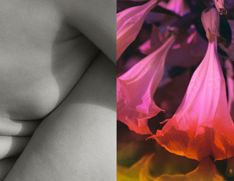 Interprétation des Extraits de Parfum par Agathe Berjaut | D'ORSAY Paris