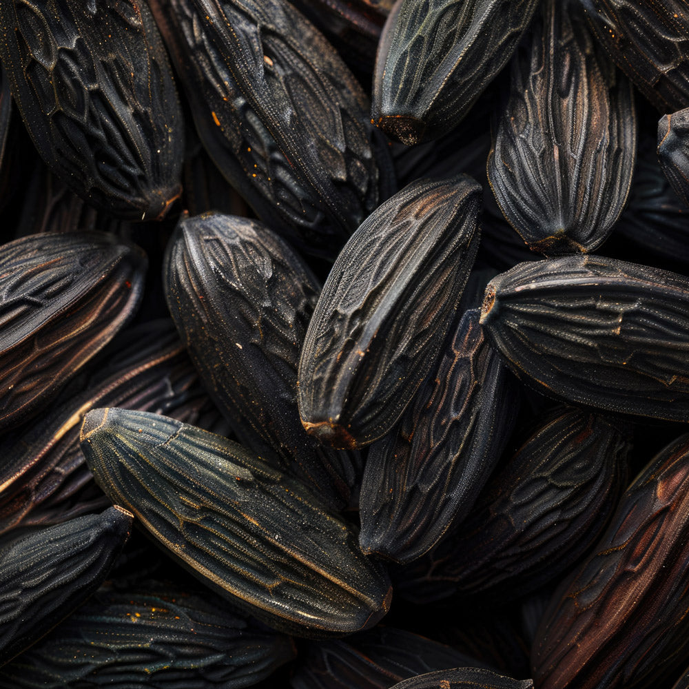 FÈVE DE TONKA