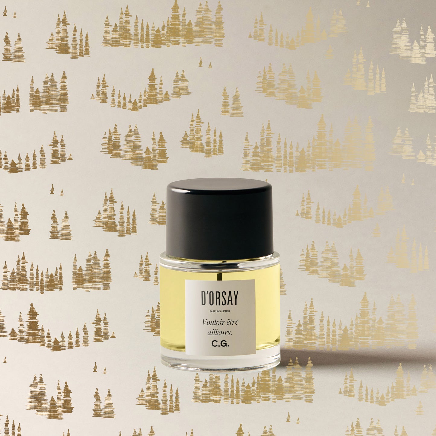 Vouloir être ailleurs. C.G.