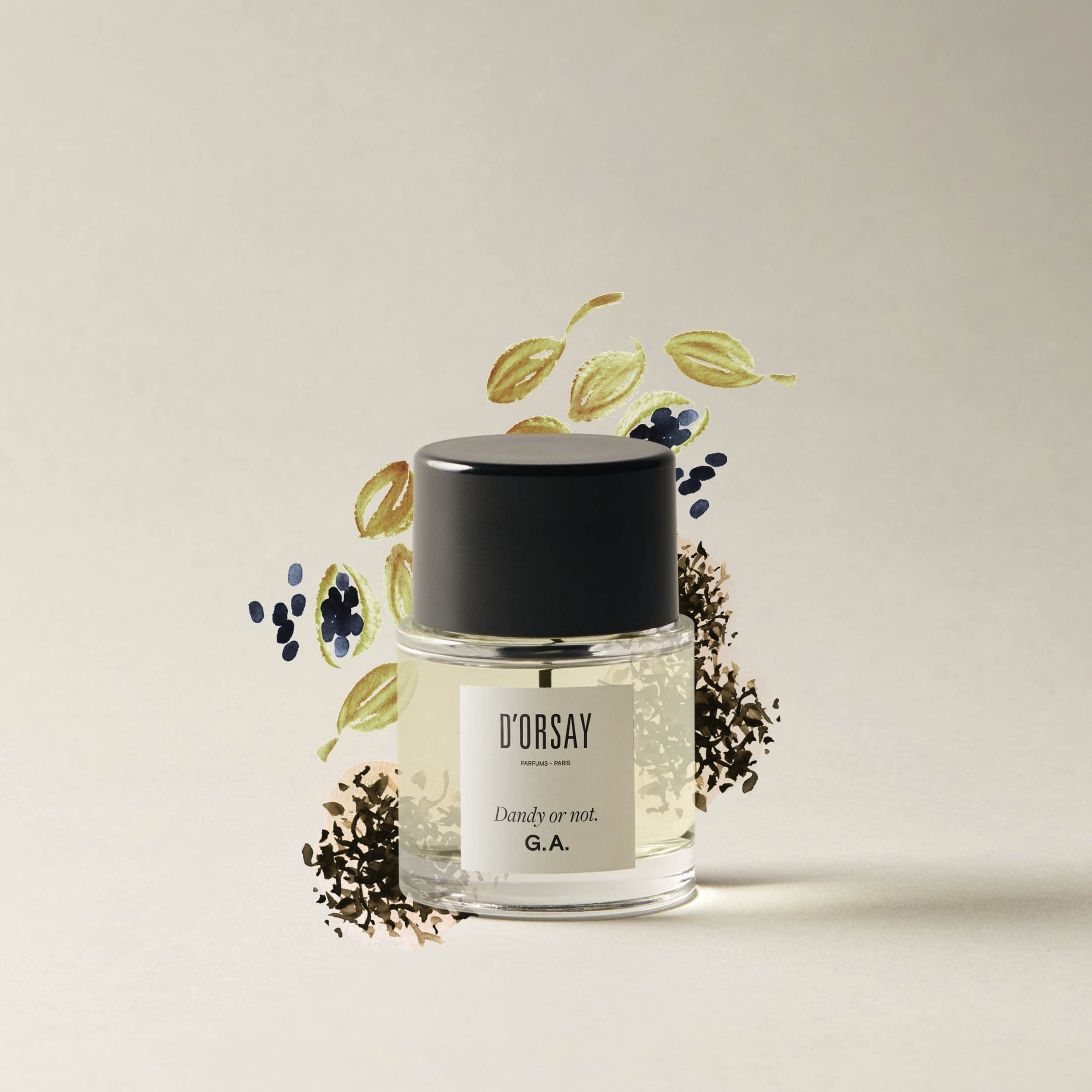 新発売の or Dandy Parfum de Eau not. Fragrance Woody Unisex | G.A. 香水(ユニセックス)